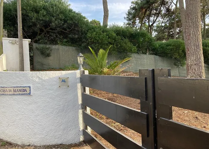 Moradia No Pinhal Com Piscina - Espaco E Privacidade Para As Suas Ferias!
