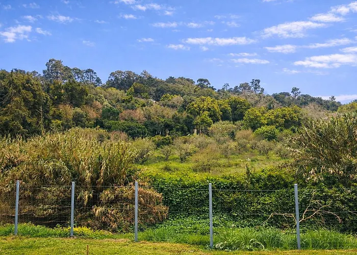 Galamares Nest